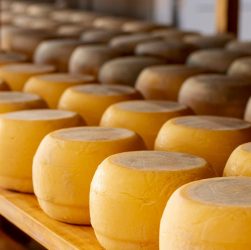 El papel clave de los distribuidores de lácteos en la cadena alimentaria enfoque en la distribución de quesos